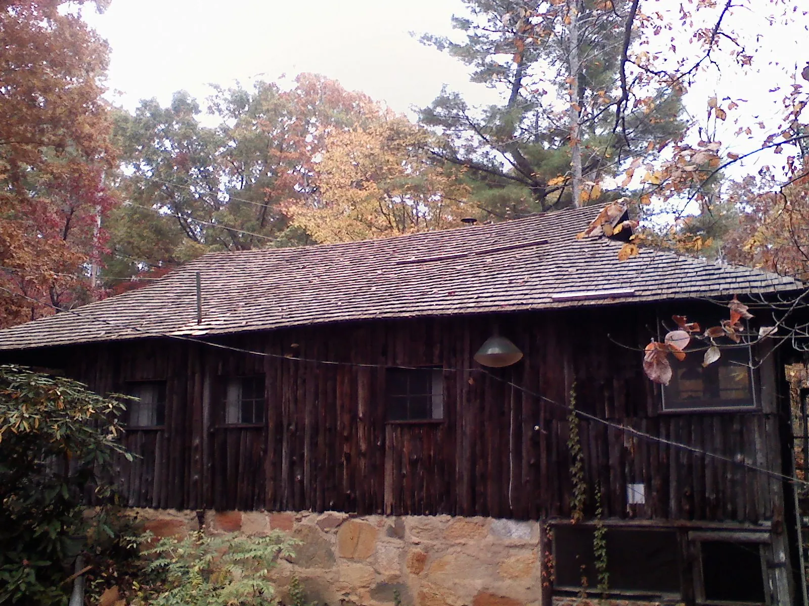Weathered wood shake roof on a rustic board sided cabin in Belvue